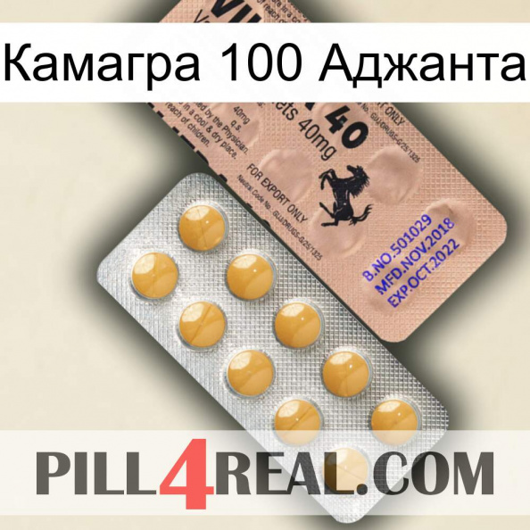 Камагра 100 Аджанта 41.jpg